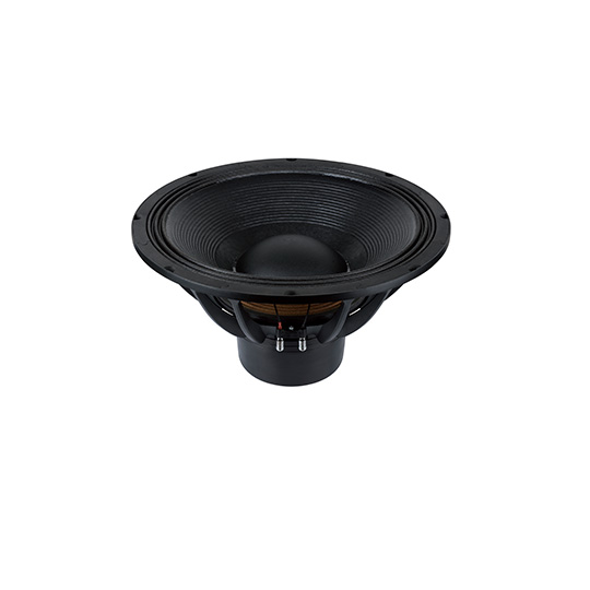 21NDS151U1 Subwoofers 21 inchs 
