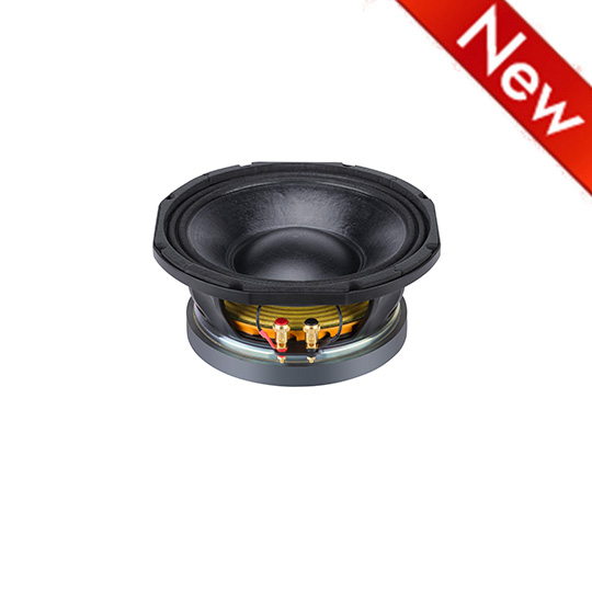 Speaker line sales array 10 inch